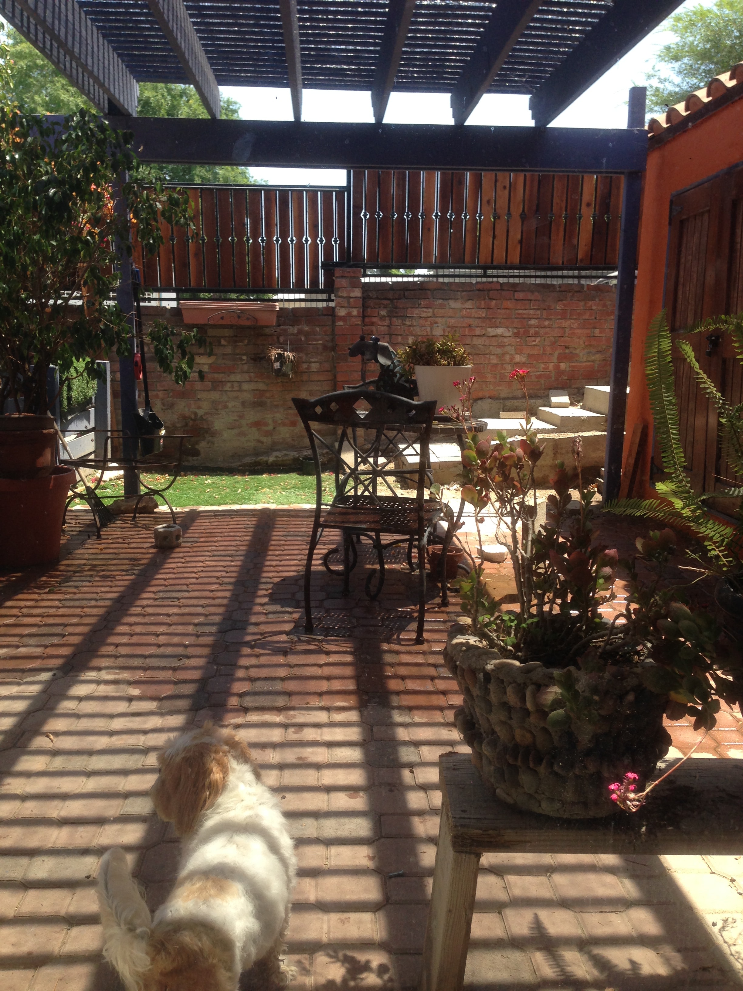 Open Beam Backyard Cover