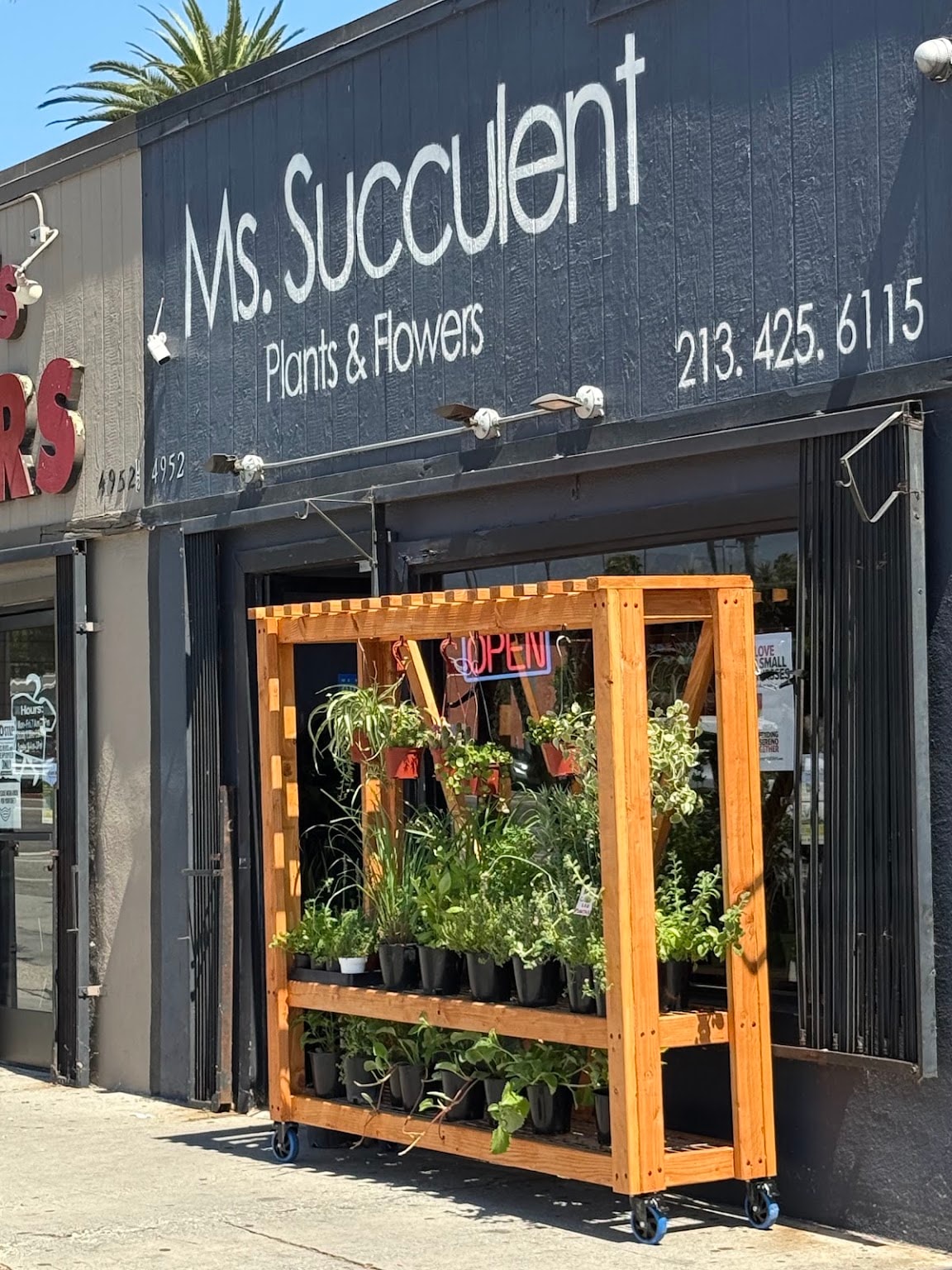 Succulent Garden Shade